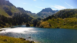 Timeline: La vida de l'Aran Broggi