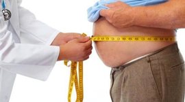 Timeline: Χρονολογική Εξέλιξη της Παχυσαρκίας στην Ελλάδα