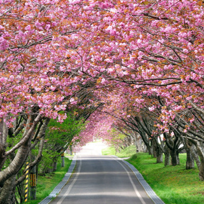 Timeline: Носители информации