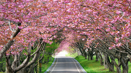 Timeline: Носители информации