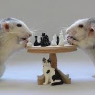 Timeline: Tanuláselméletek az időben