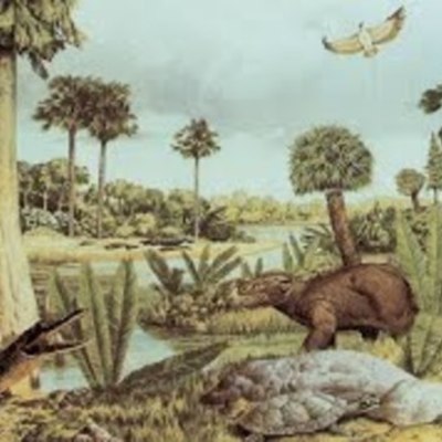 Timeline: Gizakiaren erruz historian zehar desagertutako animaliak