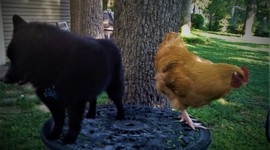 Timeline: Sammy's birthday party