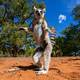 Lemur madagascar