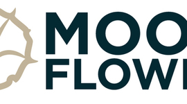 Timeline: Moon Flower