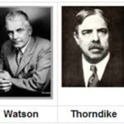 Timeline: Conductivismo