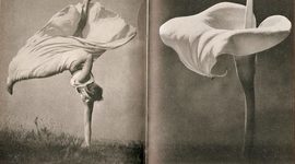 Timeline: Thea 390 Period Overview