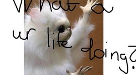 Timeline: Norsk mellomalder 800 - 1537