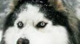 Timeline: Mia and Jordan Awesome Timeline