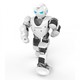 Alpha 1s humanoid robot 1