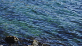 Timeline: Napoli con i miei occhi