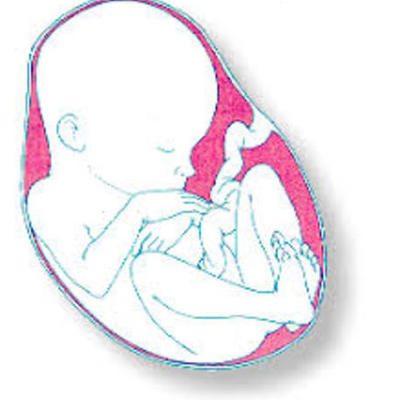 Timeline: Life's Greatest Miracle's