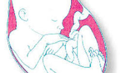 Timeline: Life's Greatest Miracle's