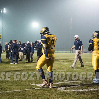 Timeline: aggressions