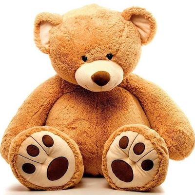 Timeline: Biografía del peluchito