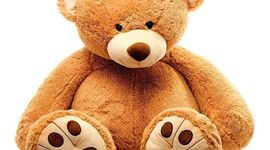 Timeline: Biografía del peluchito