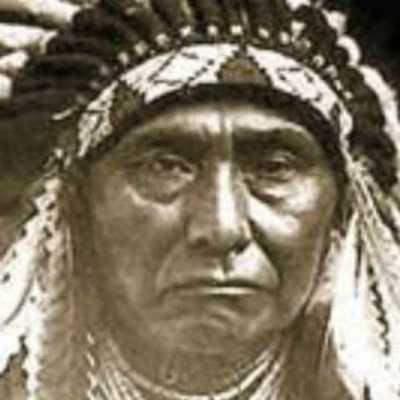 Timeline: carta del jefe de seattle y la primavera sileciosa