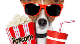 Timeline: Best Time Line you will ever see in your meaningless/useless life :)