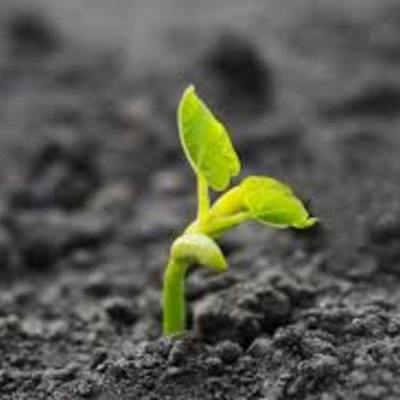 Timeline: Línea del tiempo sobre la vida