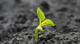 Timeline: Línea del tiempo sobre la vida