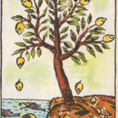 Timeline: GENERACIÓN ESPONTÁNEA Y BIOGÉNESIS