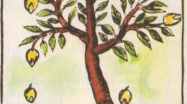 Timeline: GENERACIÓN ESPONTÁNEA Y BIOGÉNESIS