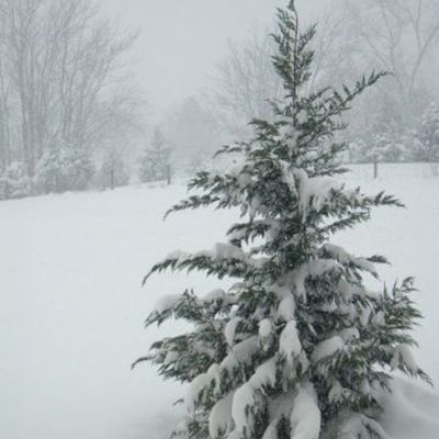 Timeline: Пример