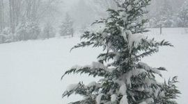 Timeline: Пример