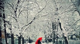 Timeline: путешествие