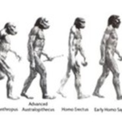 Timeline: Tipos de homínidos