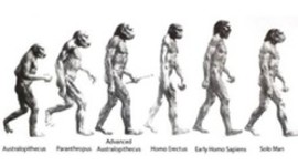 Timeline: Tipos de homínidos