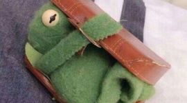 Timeline: 1302 DCUSH Timeline 1