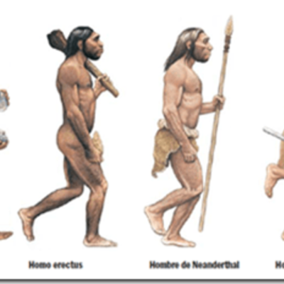 Timeline: La prehistoria