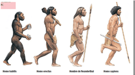 Timeline: La prehistoria
