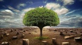 Timeline: ecologia y medio ambiente PABLO TORRES