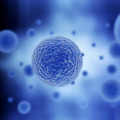 Timeline: Línia temporal dels esdeveniments més importants relacionats amb la cèl·lula.