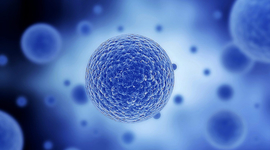 Timeline: Línia temporal dels esdeveniments més importants relacionats amb la cèl·lula.