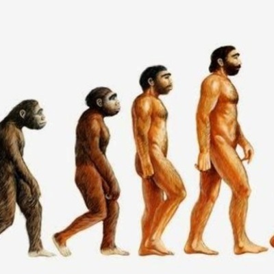 Timeline: 70 milioni di anni fa