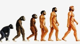 Timeline: 70 milioni di anni fa