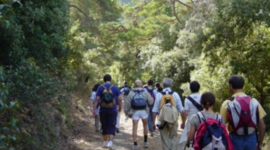 Timeline: Vacaciones