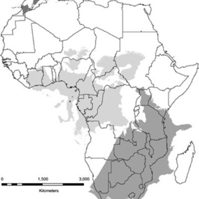Timeline: Lower Africa