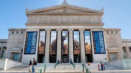 Timeline: Historia del museo