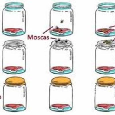 Timeline:  Generación espontánea y la biogénesis