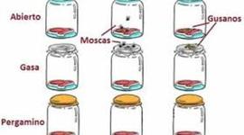 Timeline:  Generación espontánea y la biogénesis