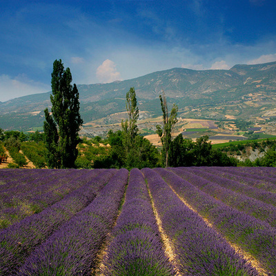Timeline: Histoire Provence