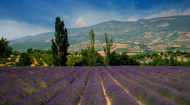 Timeline: Histoire Provence