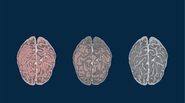 Timeline: Timeline Event Of 1984 By George Orwell