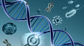 Timeline: Nacimiento y evolución de la ciencia genética