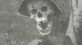 Timeline: World War ||