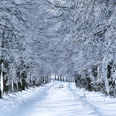 Timeline: US History Timeline 2018